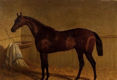 „Beeswing”, gniady koń wyścigowy w luźnym pudełku autorstwa John Frederick Herring Senior