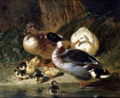Kaczki i kaczątka autorstwa John Frederick Herring Senior