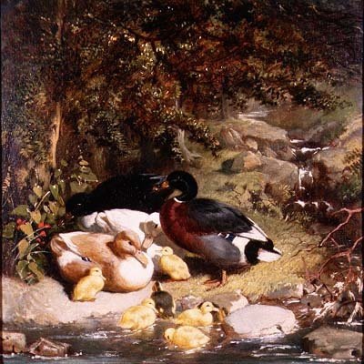 Kaczki i kaczątka autorstwa John Frederick Herring Senior