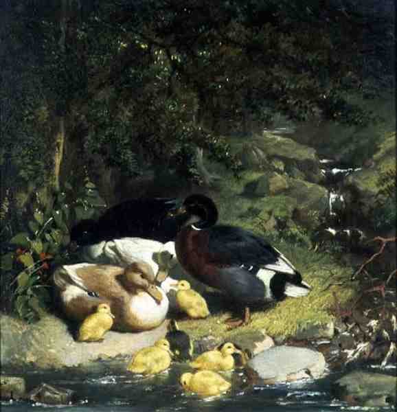 Kaczki i kaczątka autorstwa John Frederick Herring Senior