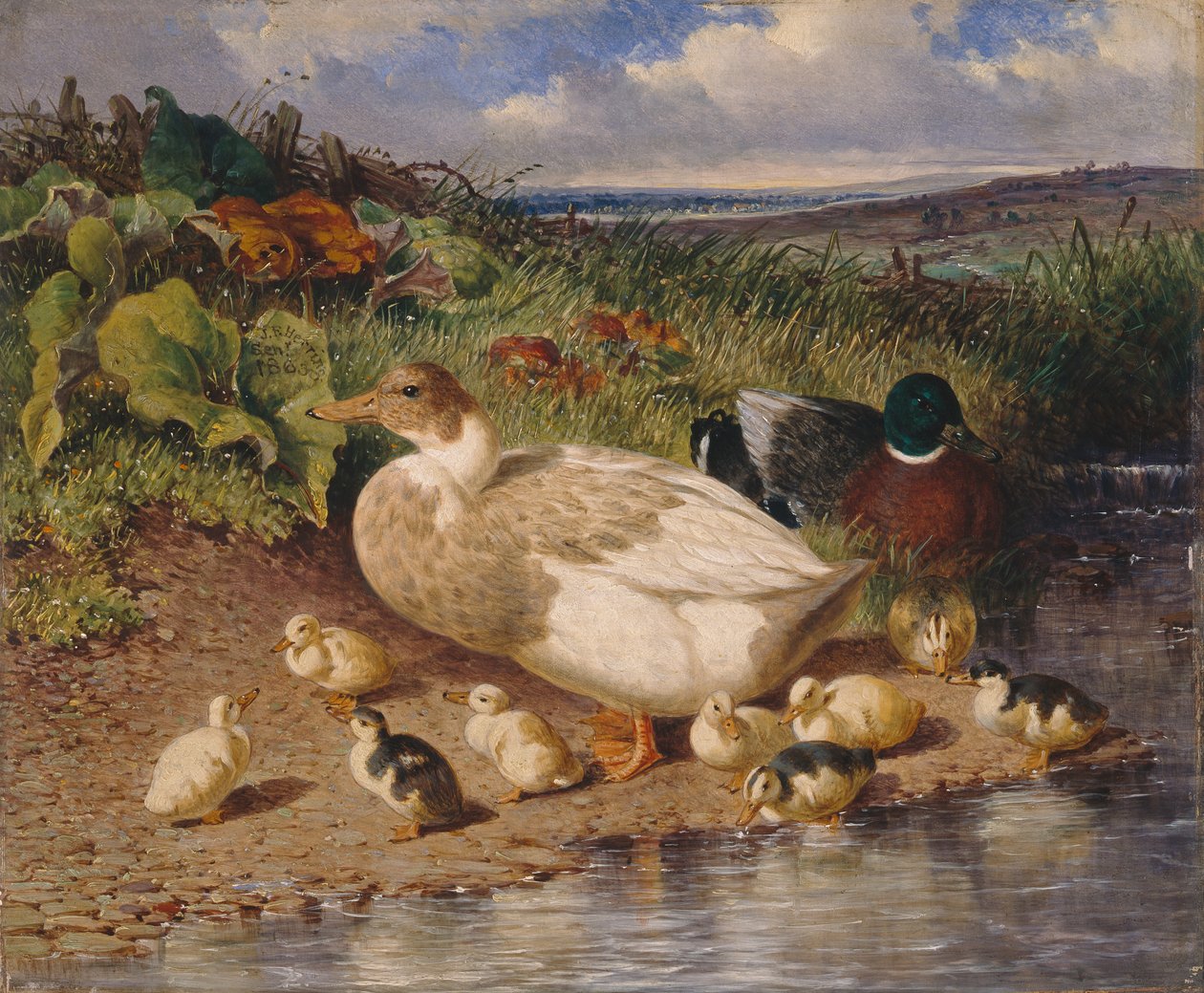 Kaczki nad strumieniem autorstwa John Frederick Herring Snr