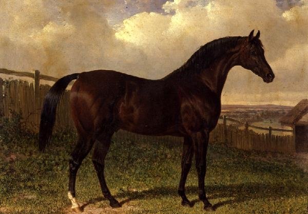 „Emilius”, gniady koń wyścigowy na padoku autorstwa John Frederick Herring Senior