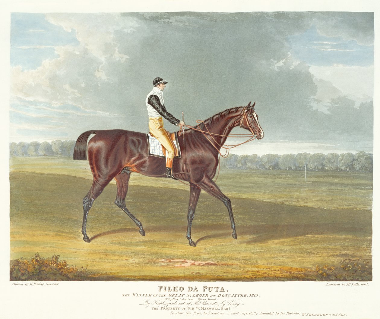 Filho da Puta, zwycięzca Great St. Leger w Doncaster, 1815, rycina Thomasa Sutherlanda (ur. ok. 1785), wyd. W. Sheardown und Son (akwatinta) autorstwa John Frederick Herring Senior