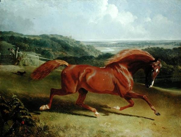 Galopujący koń w pejzażu (olej na płótnie) autorstwa John Frederick Herring Senior