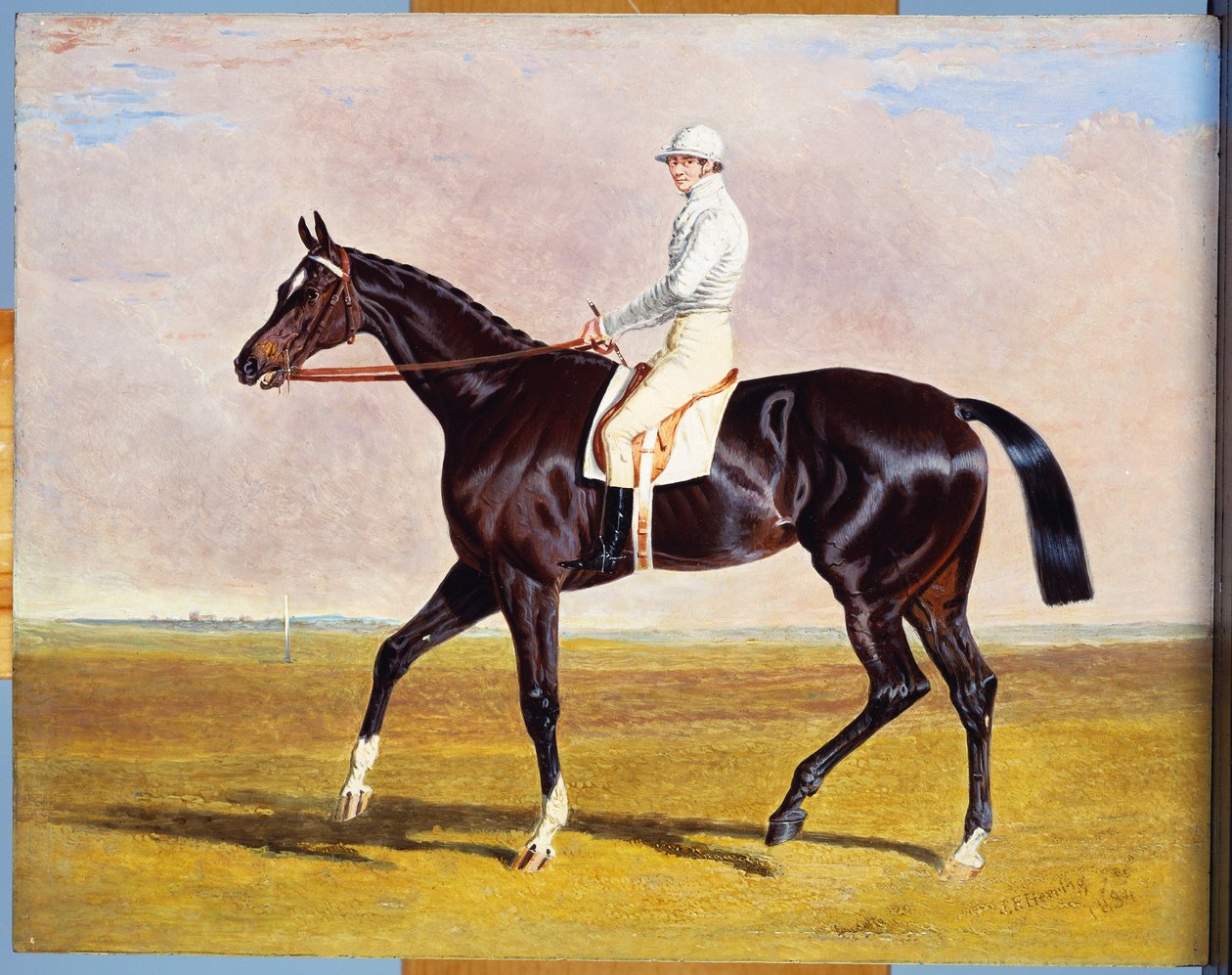 Lucetta” z J. Robinsonem Up, 1834 autorstwa John Frederick Herring Senior