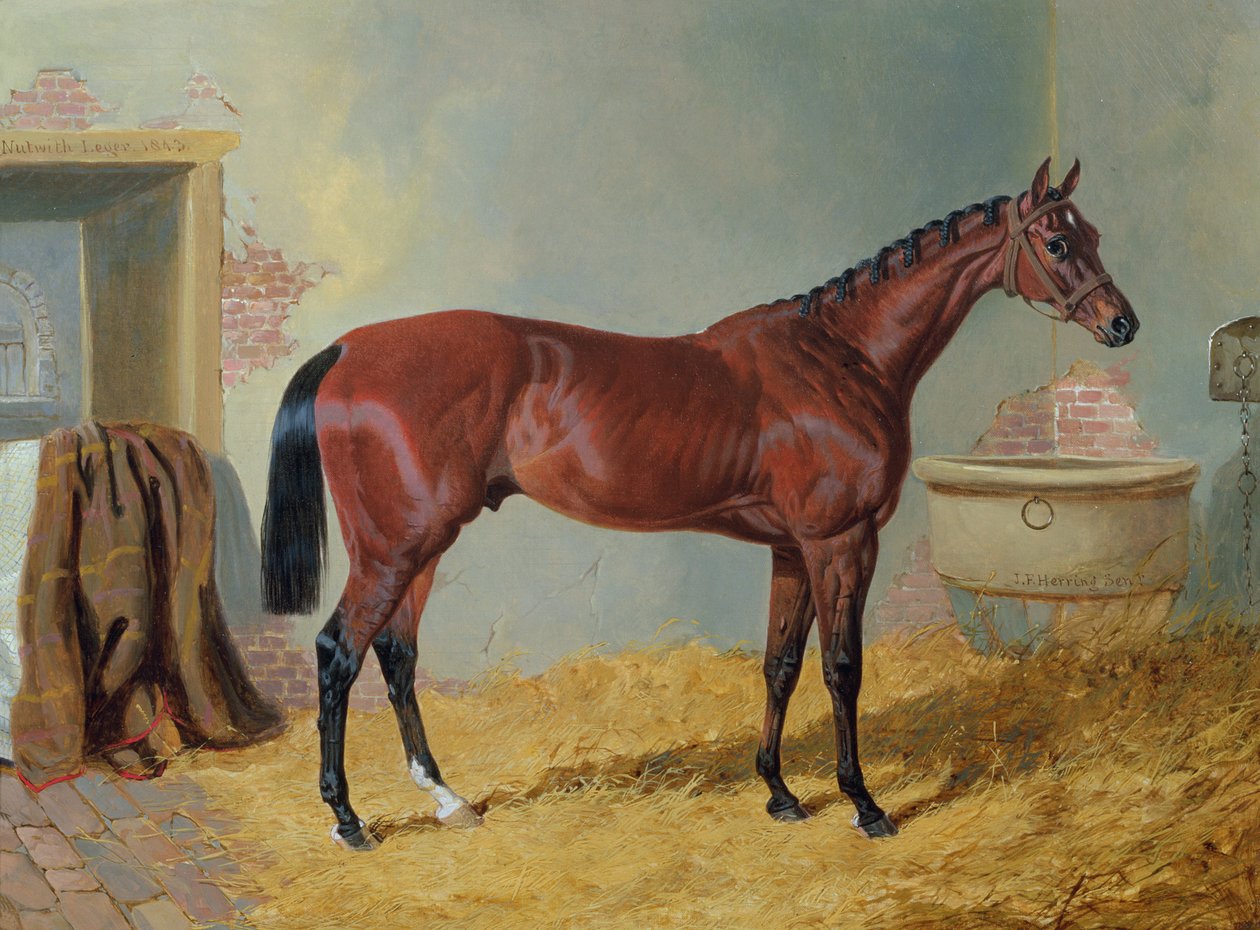 Nutwith" pana S. Wrathera w stajni autorstwa John Frederick Herring Senior