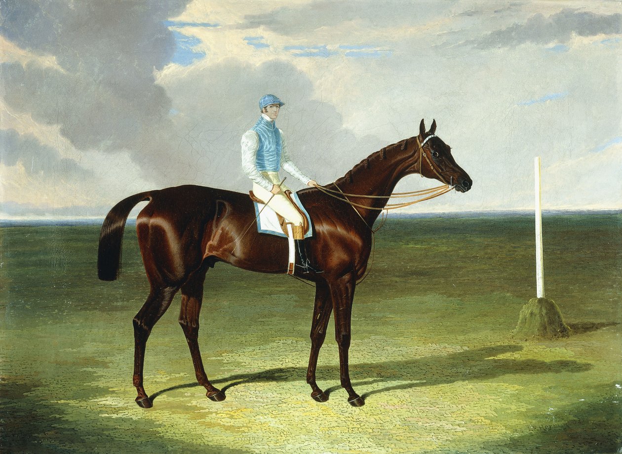 Pani Ridsdale
