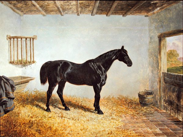 Portret ogiera stojącego w stajni (olej na panelu) autorstwa John Frederick Herring Senior