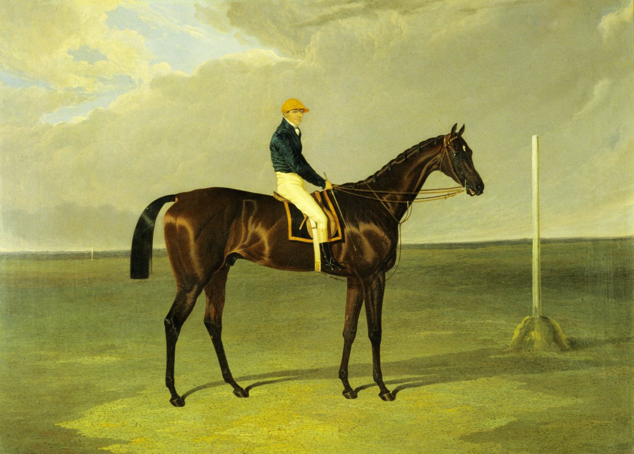 „Sluggard” z Flatman Up autorstwa John Frederick Herring Senior