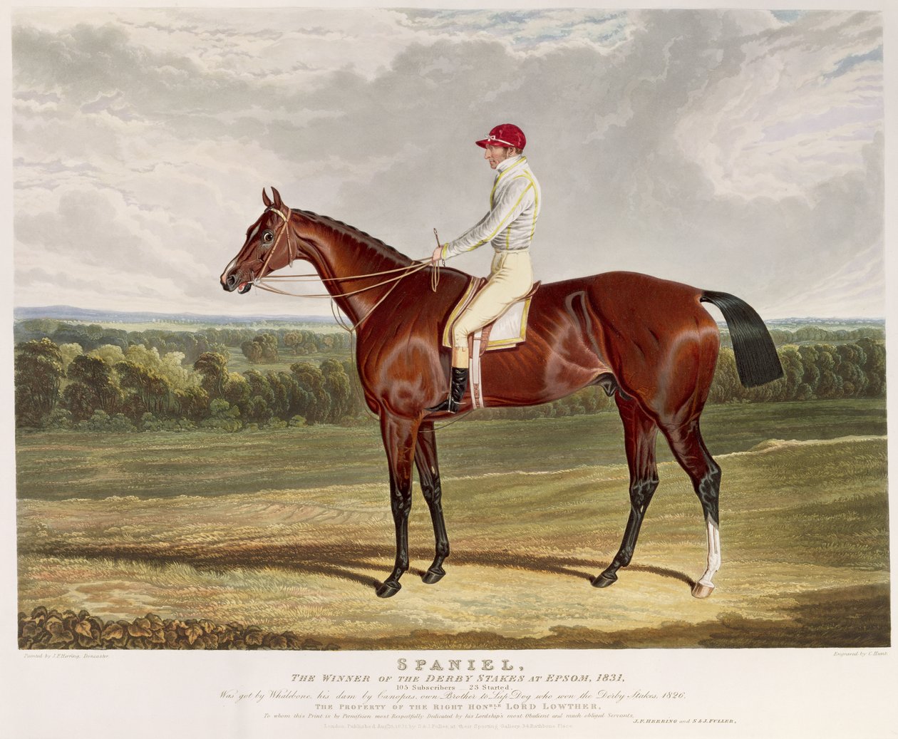 „Spaniel”, zdobywca nagrody Derby w Epsom, 1831, sztych. Charles Hunt (1803-77), wyd. S. und J. Fuller, 1831 (akwatinta) autorstwa John Frederick Herring Senior