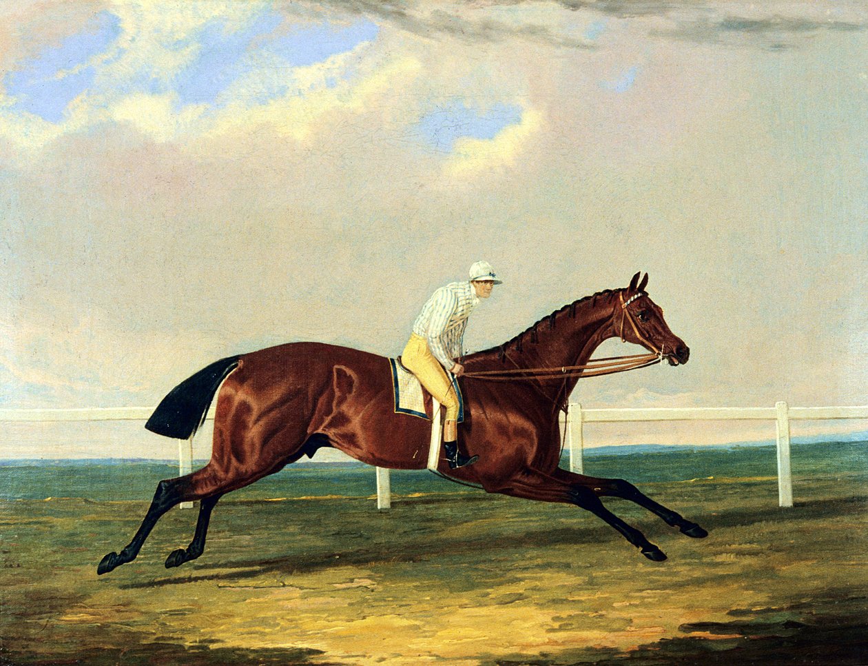 „Tarrare” dosiadany przez George