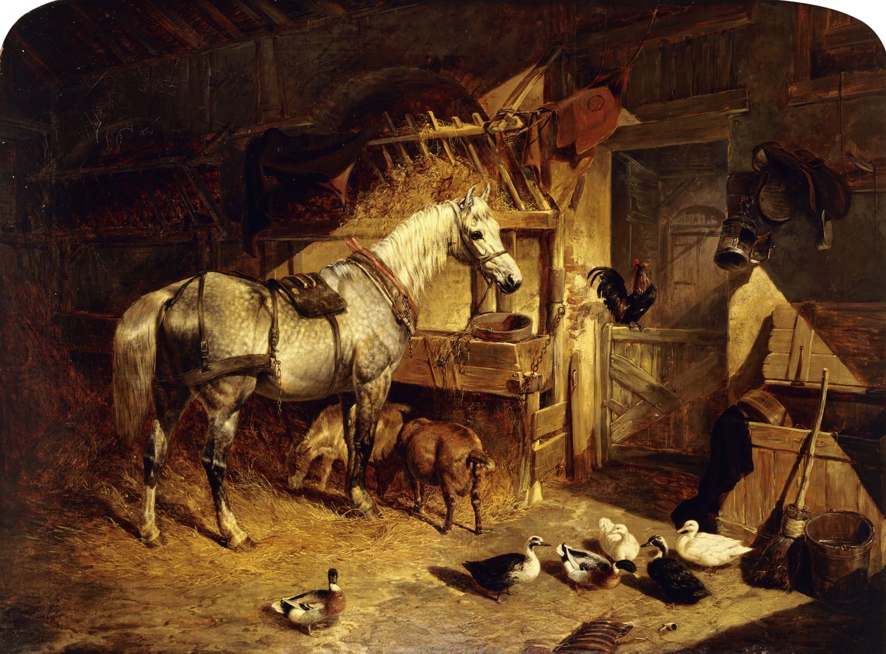 Wnętrze stajni z pstrokatym koniem w uprzęży, z kaczkami, kozami i kogutem autorstwa żłóbka, 1843 autorstwa John Frederick Herring Senior