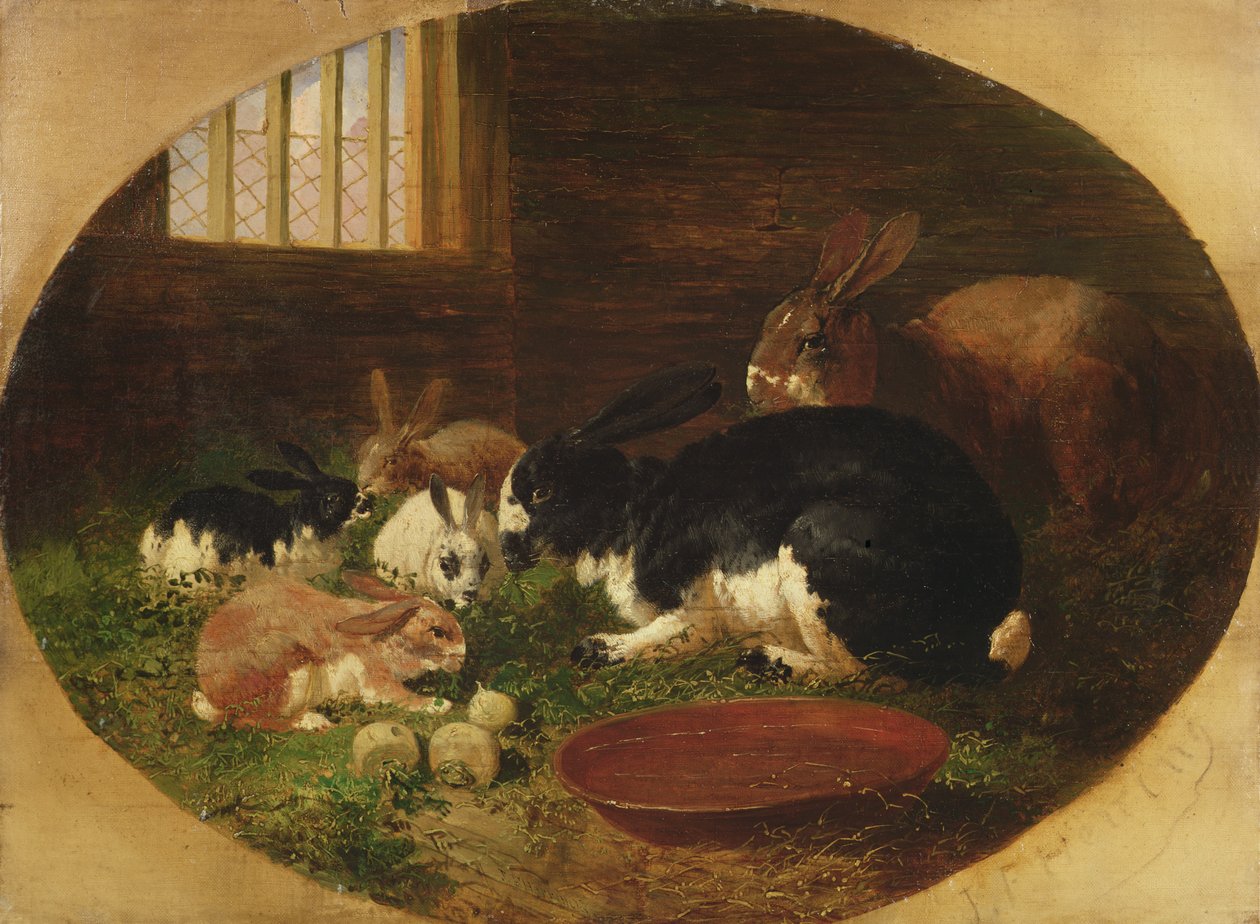 Domek dla królików autorstwa John Frederick Herring Senior