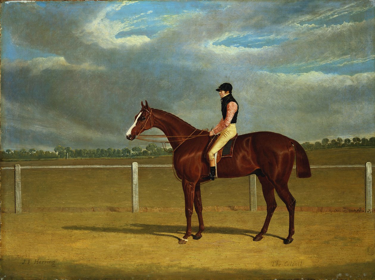 Koń wyścigowy „Pułkownik” z Williamem Scottem Up autorstwa John Frederick Herring Senior