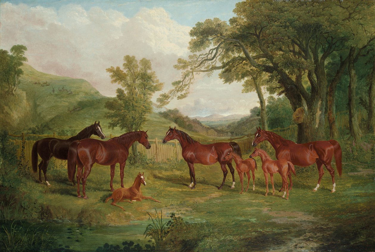 Stadnina Streatlam, klacze i źrebięta, 1836 autorstwa John Frederick Herring Senior
