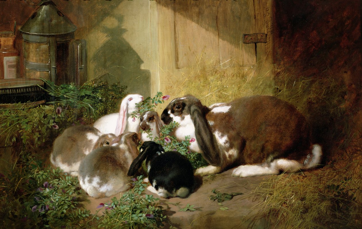 Nieznany obraz autorstwa John Frederick Herring Senior