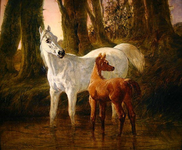 Dare i źrebak przestraszony podczas podlewania w strumieniu autorstwa John Frederick Herring Senior