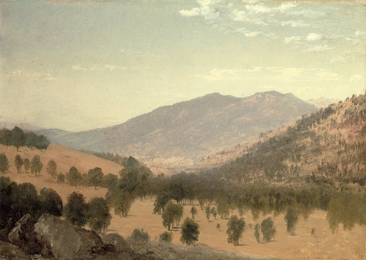 Bergen Park, Kolorado (olej na płótnie) autorstwa John Frederick Kensett