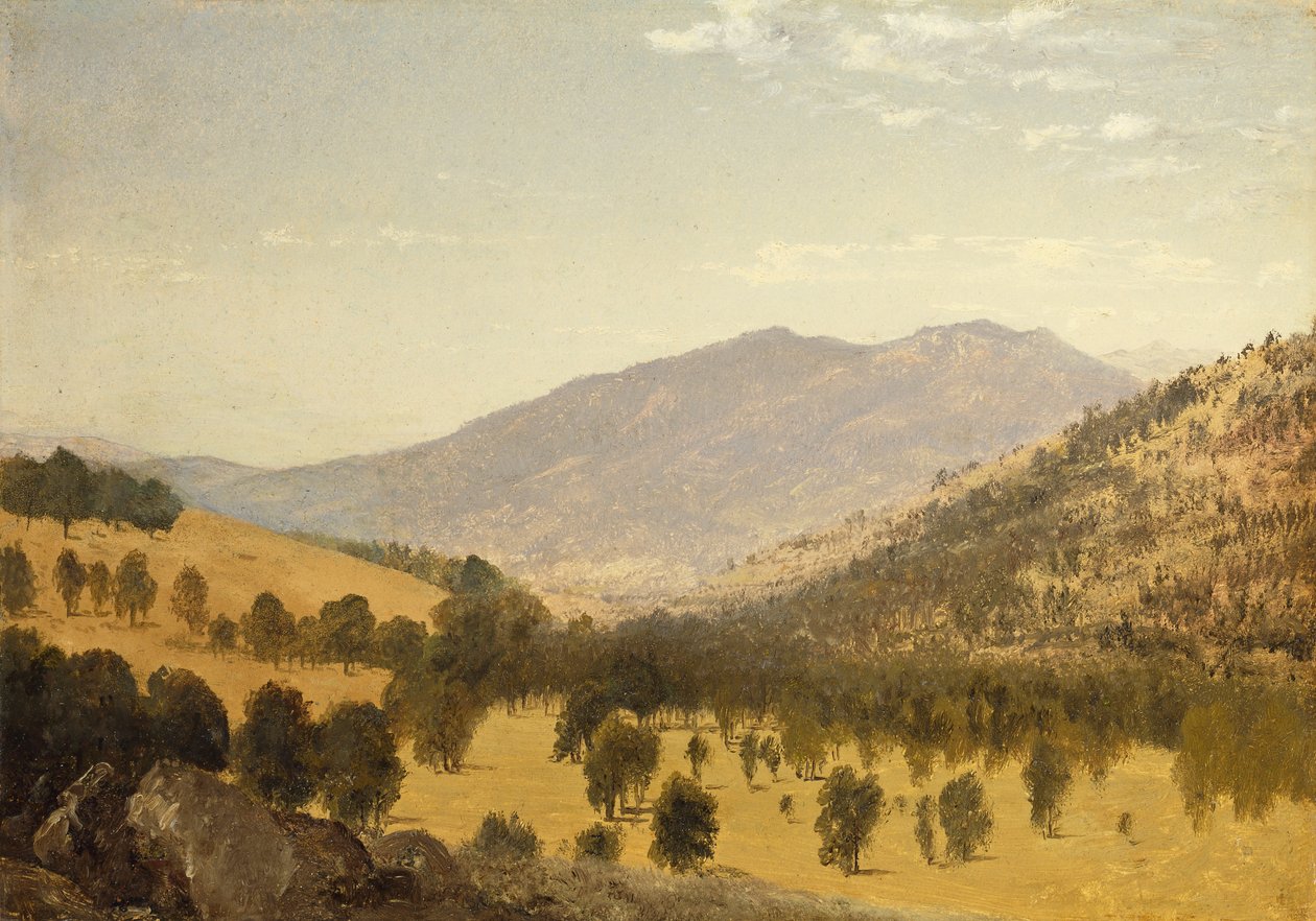 Bergen Park, Kolorado, autorstwa John Frederick Kensett