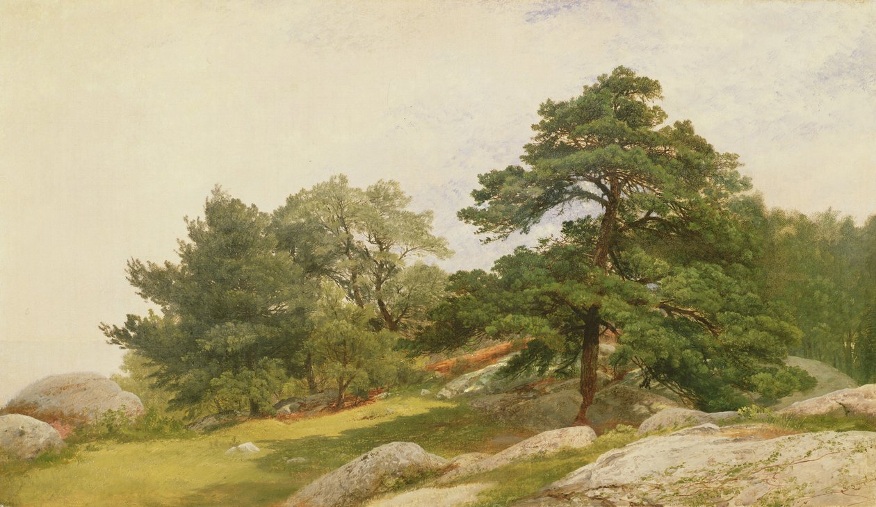 Badanie drzew na wybrzeżu Beverly Coast autorstwa John Frederick Kensett