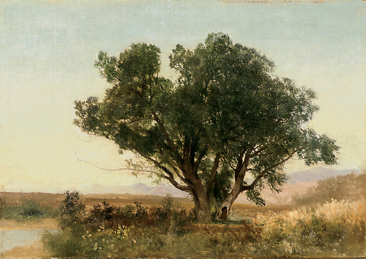 Front Range, Kolorado autorstwa John Frederick Kensett