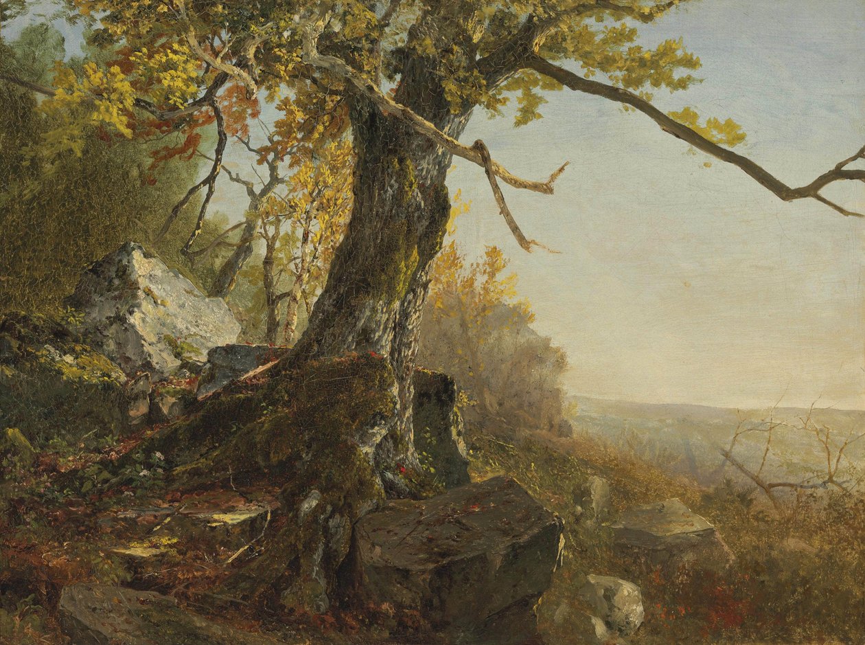 Drzewo w krajobrazie autorstwa John Frederick Kensett