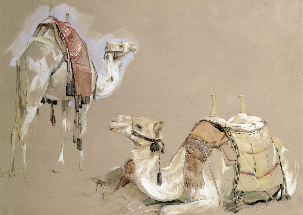 Studia na wielbłądach autorstwa John Frederick Lewis