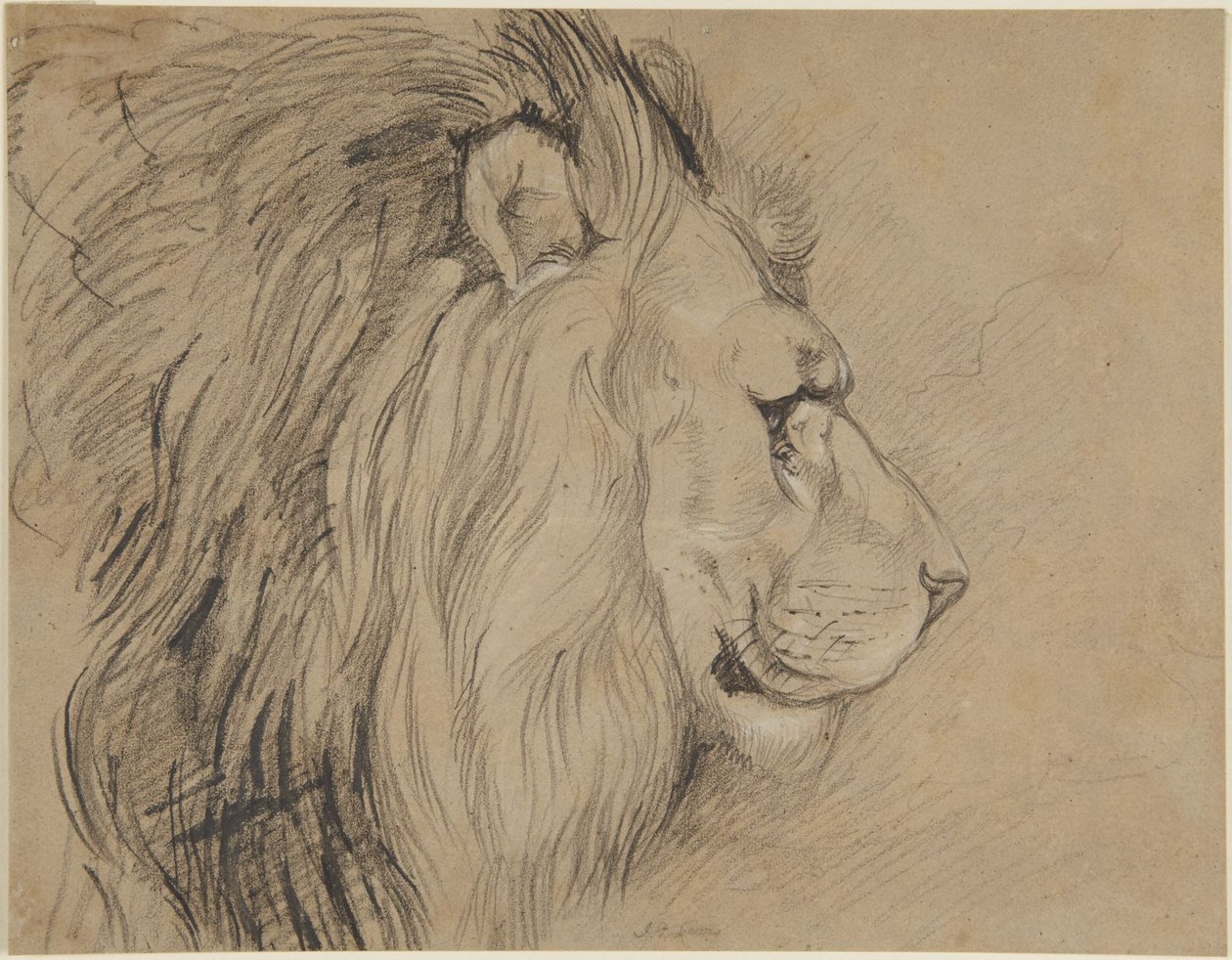 Lew autorstwa John Frederick Lewis