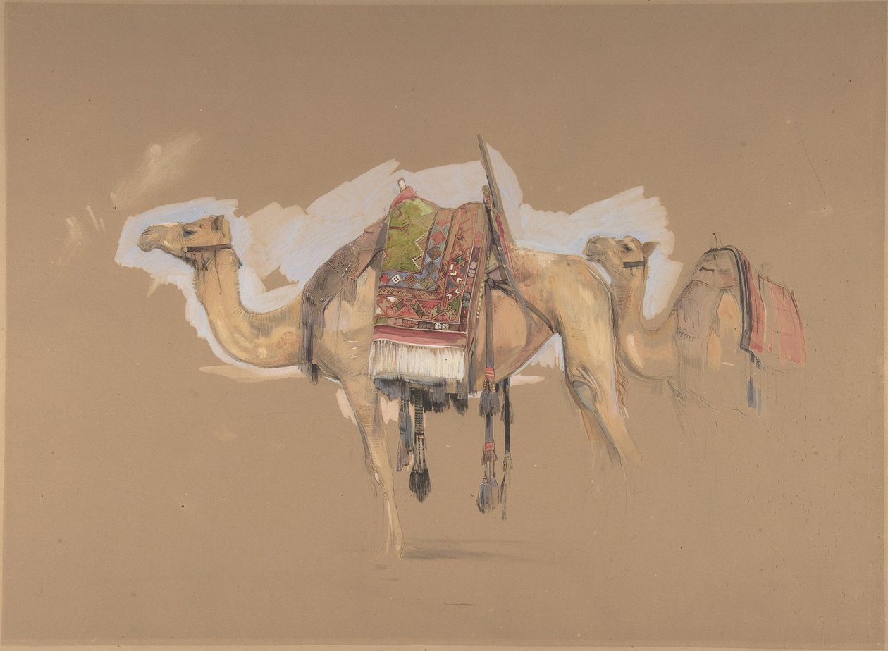 Dwa wielbłądy autorstwa John Frederick Lewis