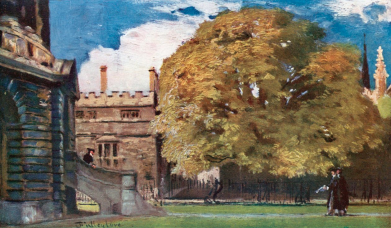 Drzewo biskupa Hebera (kolorowa litografia) autorstwa John Fulleylove