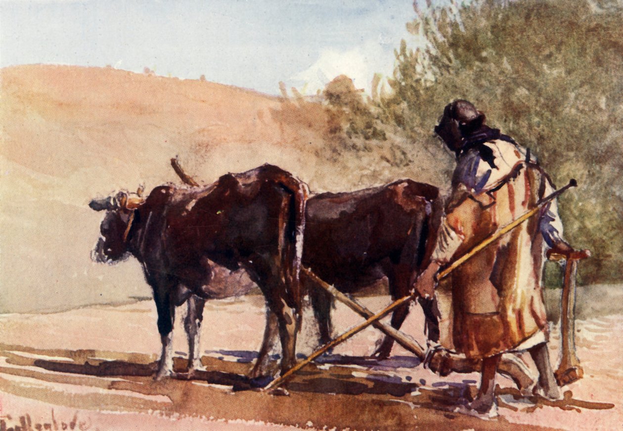Orka na Górze Oliwnej, 1902. autorstwa John Fulleylove
