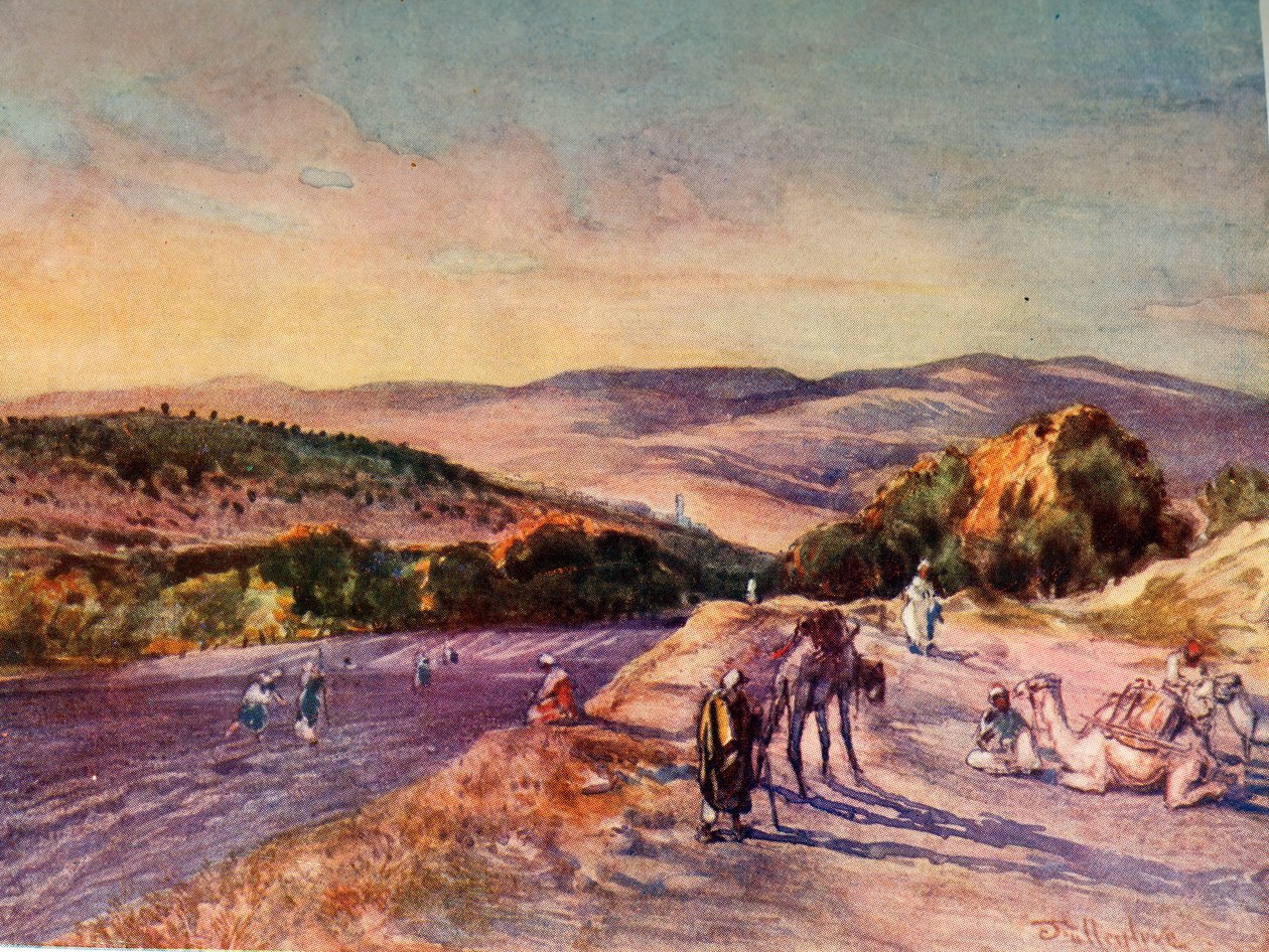 Miejsce starożytnego miasta Samarii, 1902. autorstwa John Fulleylove