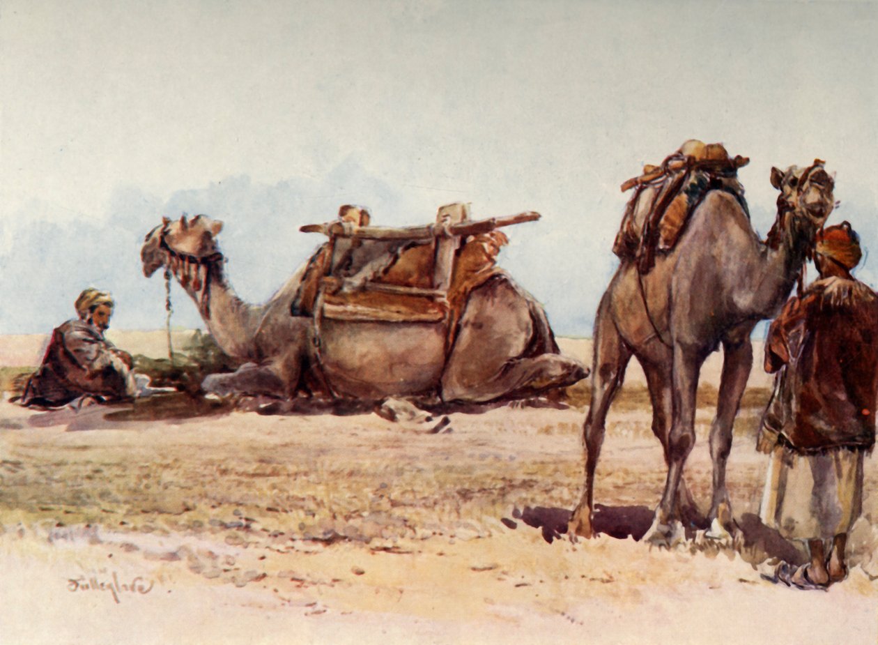 Studium wielbłądów i pomocników, 1902. autorstwa John Fulleylove