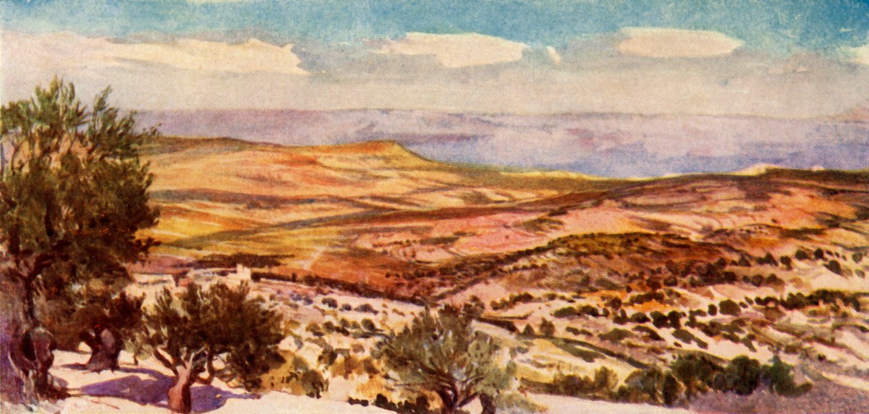 Pola Rut i Boaza w pobliżu Betlejem, 1902. autorstwa John Fulleylove
