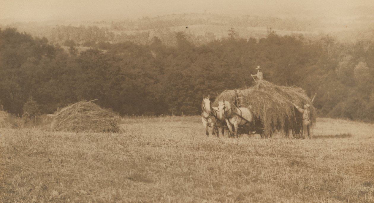 Załadunek siana, 1890-1900 (zdjęcie) autorstwa John G. Bullock