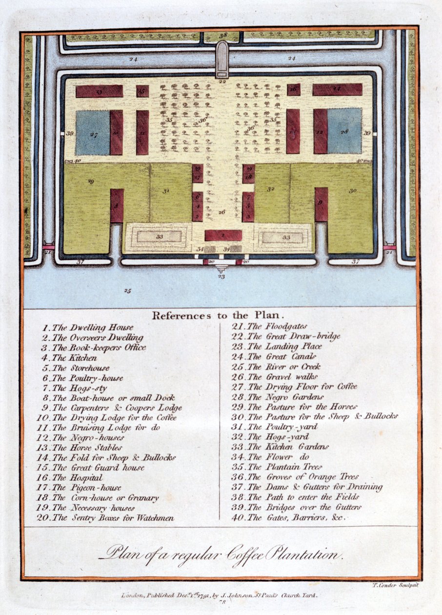 Plan regularnej plantacji kawy, 1813 autorstwa John Gabriel Stedman
