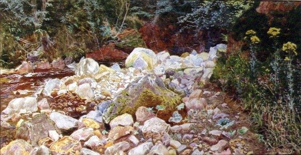 Rocky Stream (akwarela na papierze) autorstwa John George Sowerby
