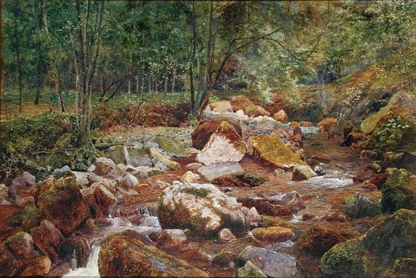 Rocky Stream Overhung with Trees (akwarela i body z gumą arabską na papierze) autorstwa John George Sowerby