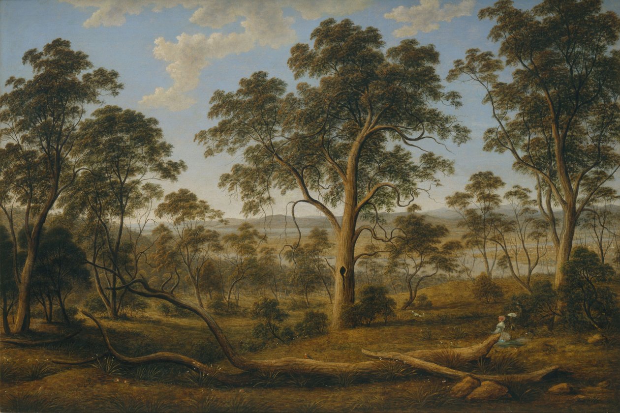 Launceston i rzeka Tamar autorstwa John Glover