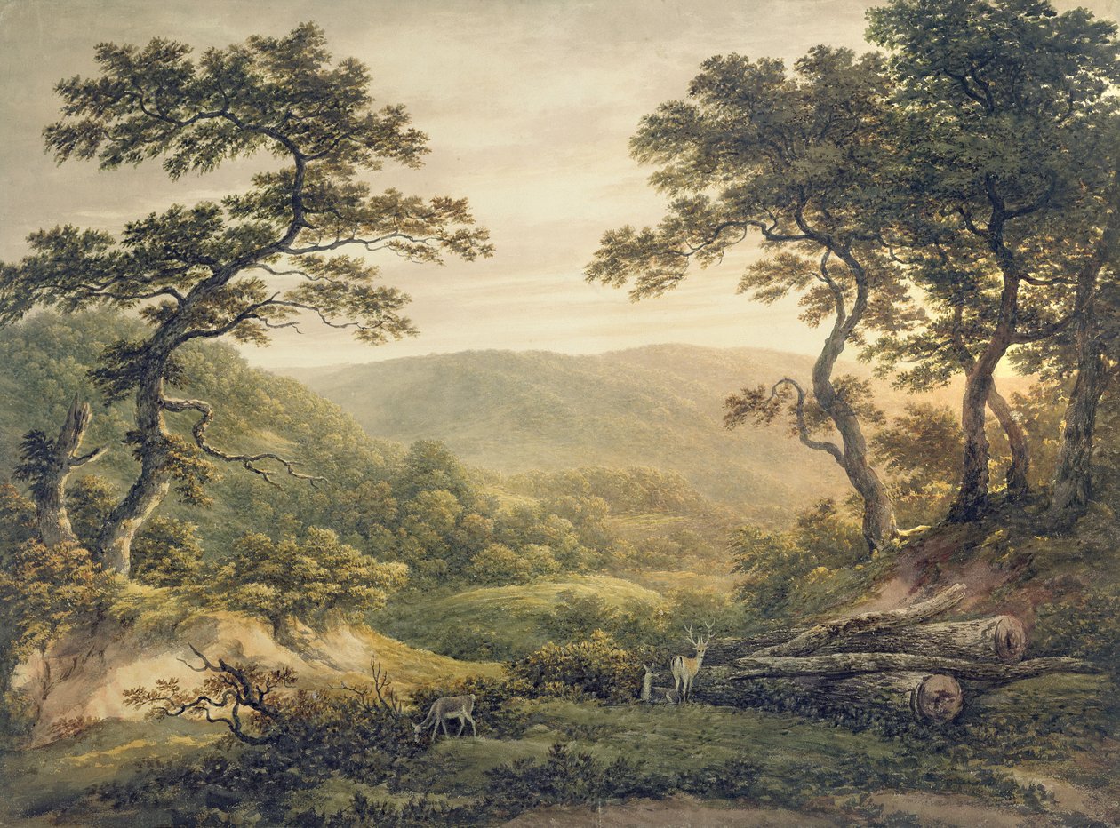 Needlewood Forest, Hampshire (akwarela na papierze) autorstwa John Glover