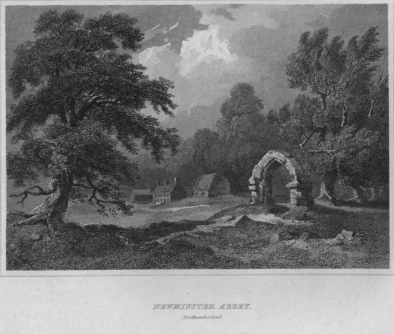 Opactwo Newminster, Northumberland, 1814 autorstwa John Greig
