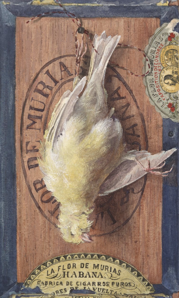 oszukać to autorstwa John Haberle