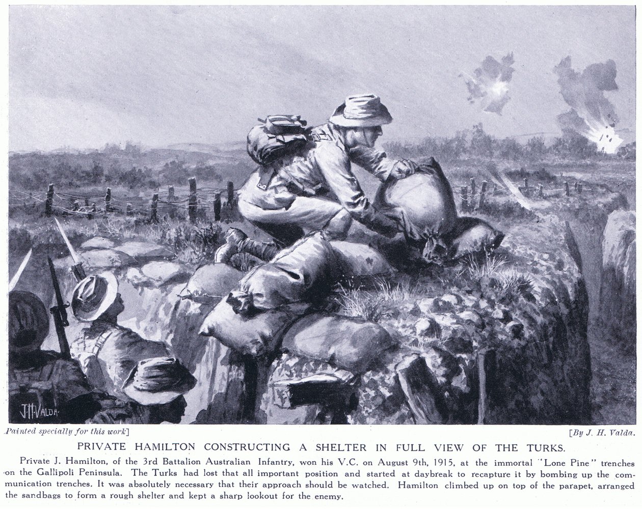 Szeregowy Hamilton budujący schronienie na oczach Turków w okopach Lone Pine na półwyspie Gallipoli Sierpień 1915 autorstwa John Harris Valda
