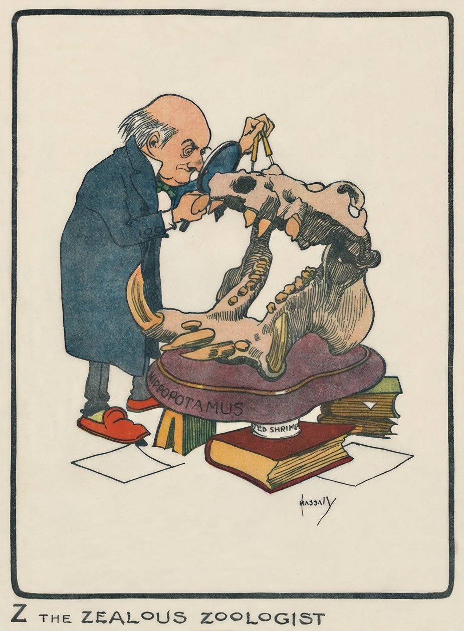 Z Gorliwy Zoolog / J. Hassall / rysunek, 1903 autorstwa John Hassall