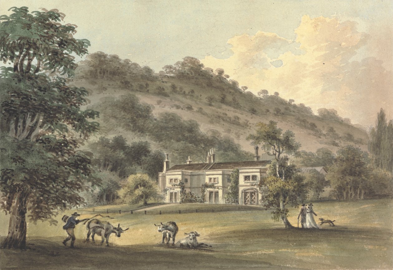 Grove Cottage, Box Hill, Surrey, a Sede de George Barclay Esq.polish autorstwa John Hassell