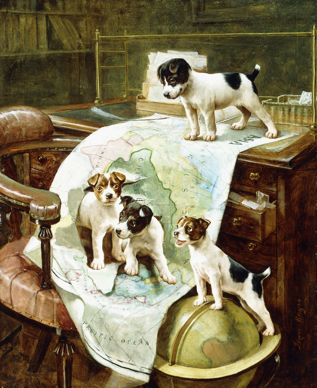 Szczeniaki Jack Russell w Podróży autorstwa John Hayes