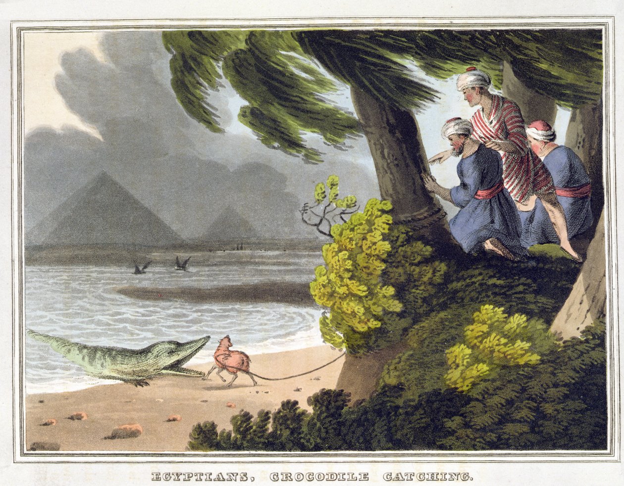 Egyptians Crocodile Catching, grawerowane przez Matthew Dubourga (fl.1785-1820), opublikowane przez Edwarda Orme autorstwa John Heaviside (after) Clark