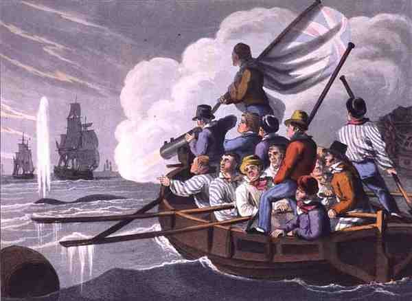 Strzelanie z harpuna do wieloryba, rycina autorstwa Matthew Dubourga (1785-1820), wydana przez Edwarda Orme