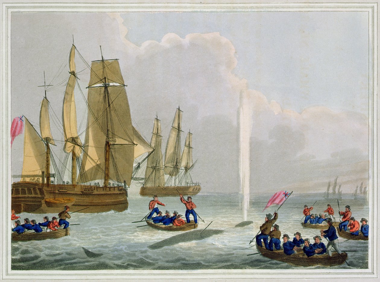 Łodzie podchodzące do wieloryba, rycina autorstwa Matthew Dubourga (1785-1820), wydana przez Edwarda Orme