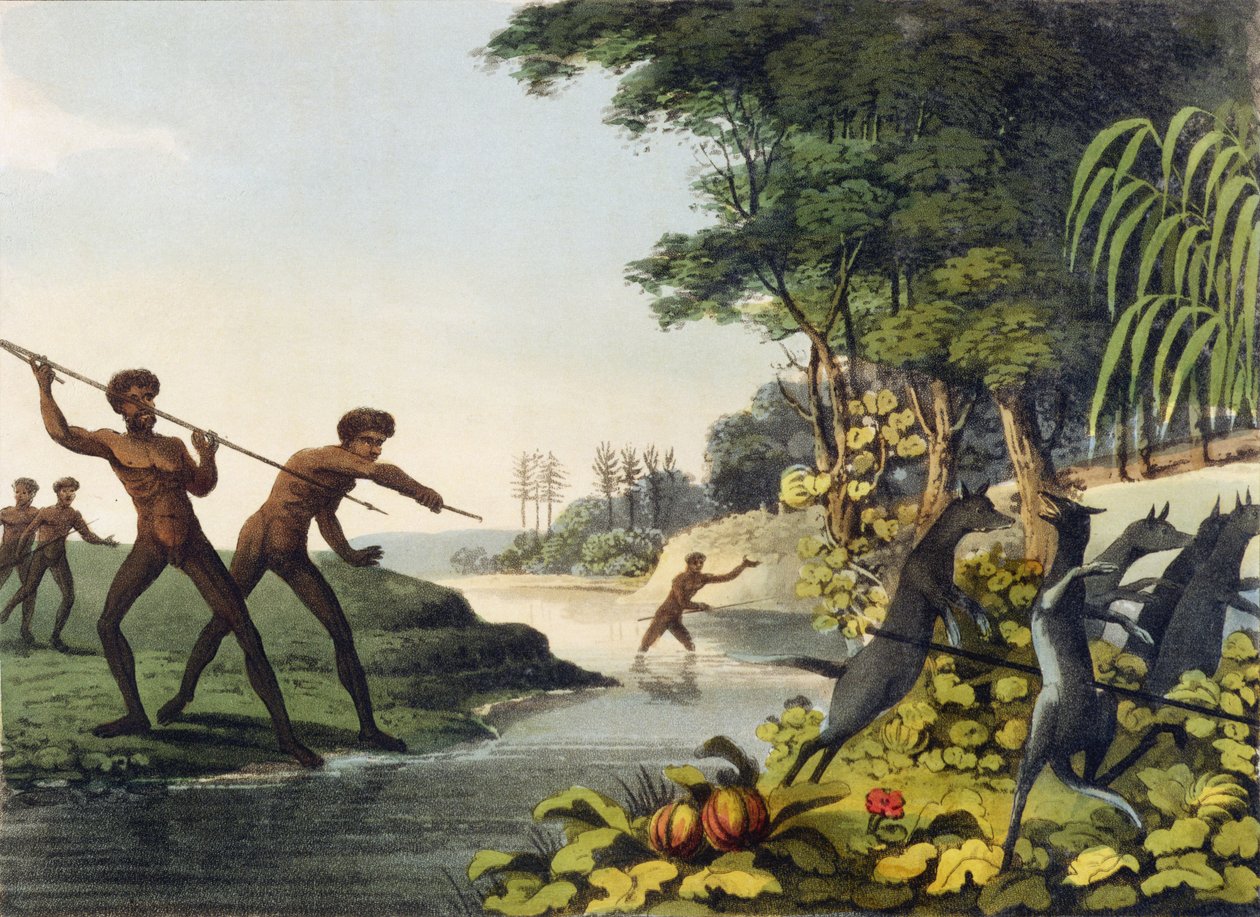 Polowanie na kangura, aborygeni w Nowej Południowej Walii, grawerowane przez Matthew Dubourga (fl.1813-1820) 1813 autorstwa John Heaviside Clark